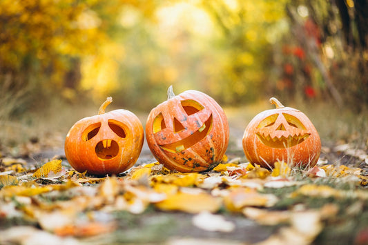 Spooky Season to Cozy Season: Transition Your Home from Fall to Winter
