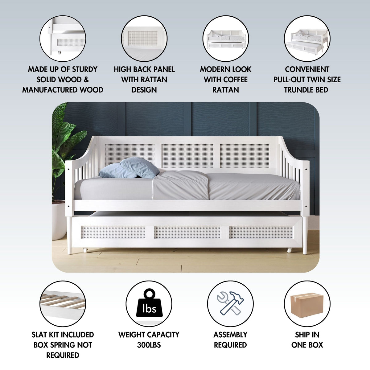 Braxson Modern Twin Daybed with Trundle