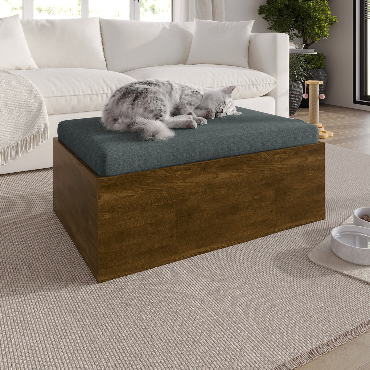 Virello Elevated Pet Bed with Waterproof Fabric and Removable Cushion