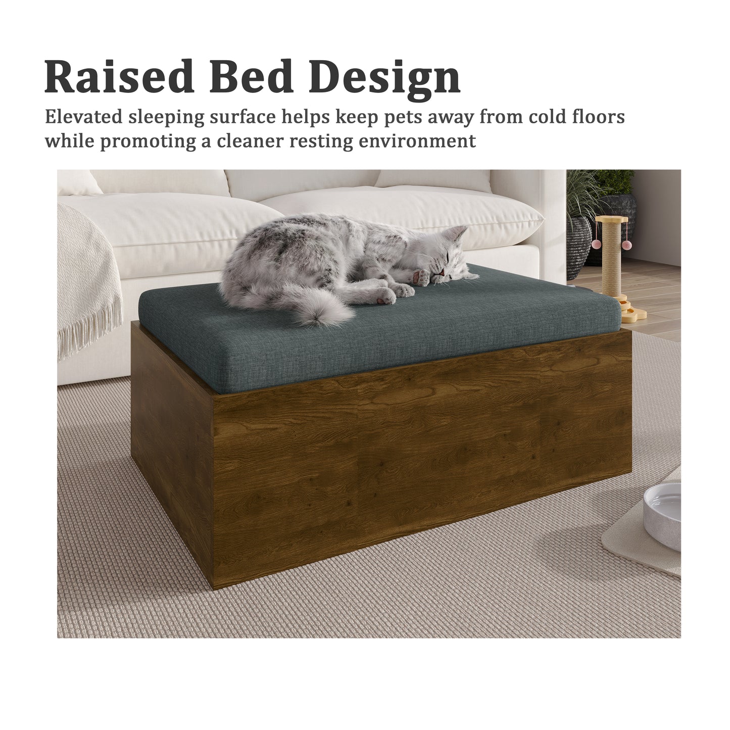 Virello Elevated Pet Bed with Waterproof Fabric and Removable Cushion