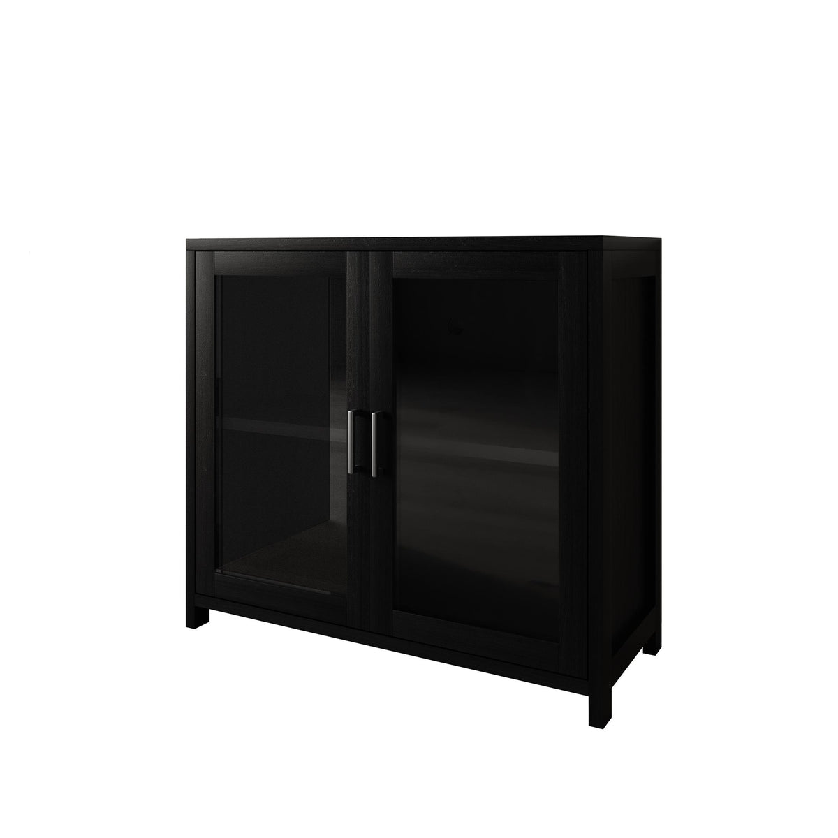Modern Wooden Storage Cabinet with Flat-Panel Doors & Short Legs