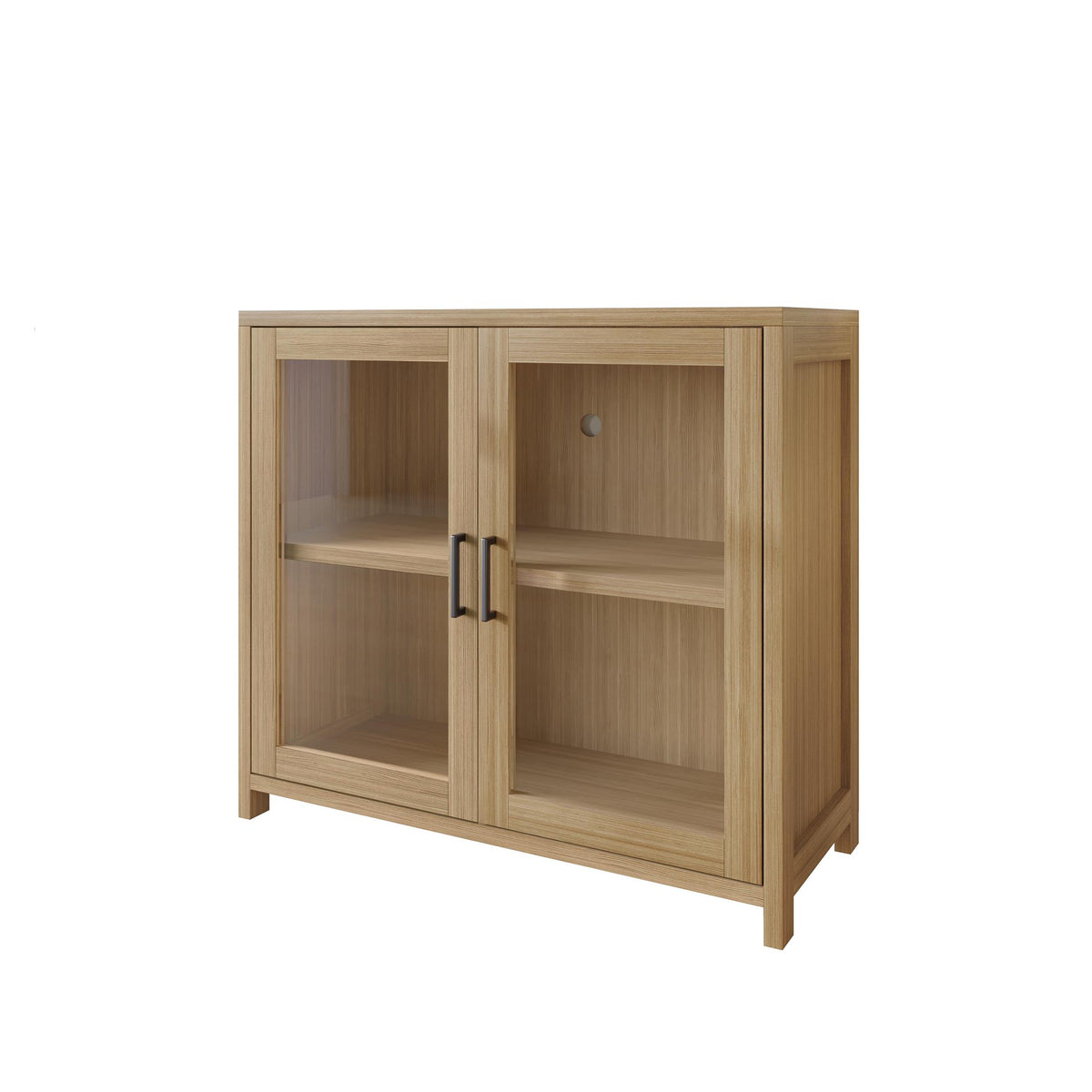 Modern Wooden Storage Cabinet with Flat-Panel Doors & Short Legs